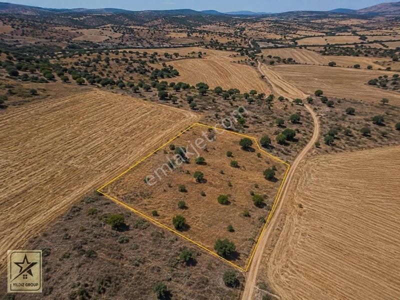 Çavdarhisar Efeler Köyünde 3,456m2 Ufak Parsel Arazi — fotoğraf 3