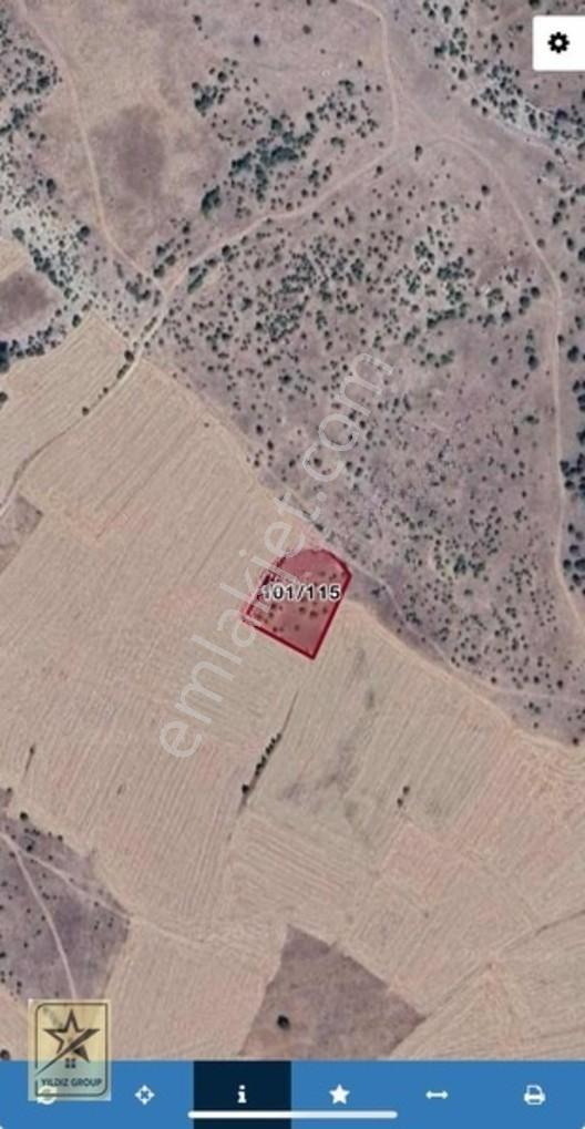 Çavdarhisar Efeler Köyünde 3,456m2 Ufak Parsel Arazi — fotoğraf 4