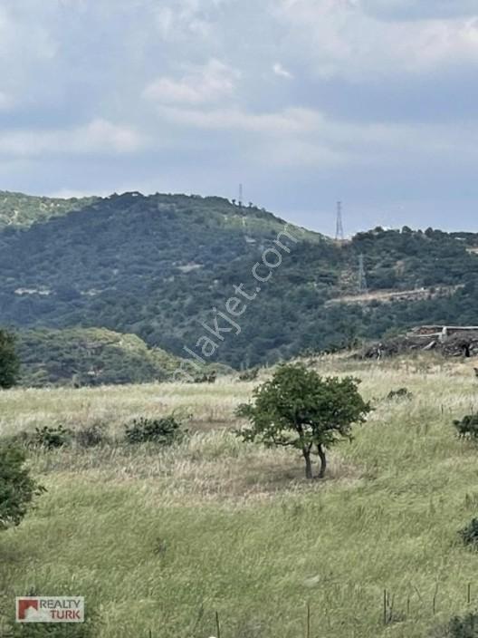 Çanakkale Ayvacık Çamköy Satılık Arazi — fotoğraf 4