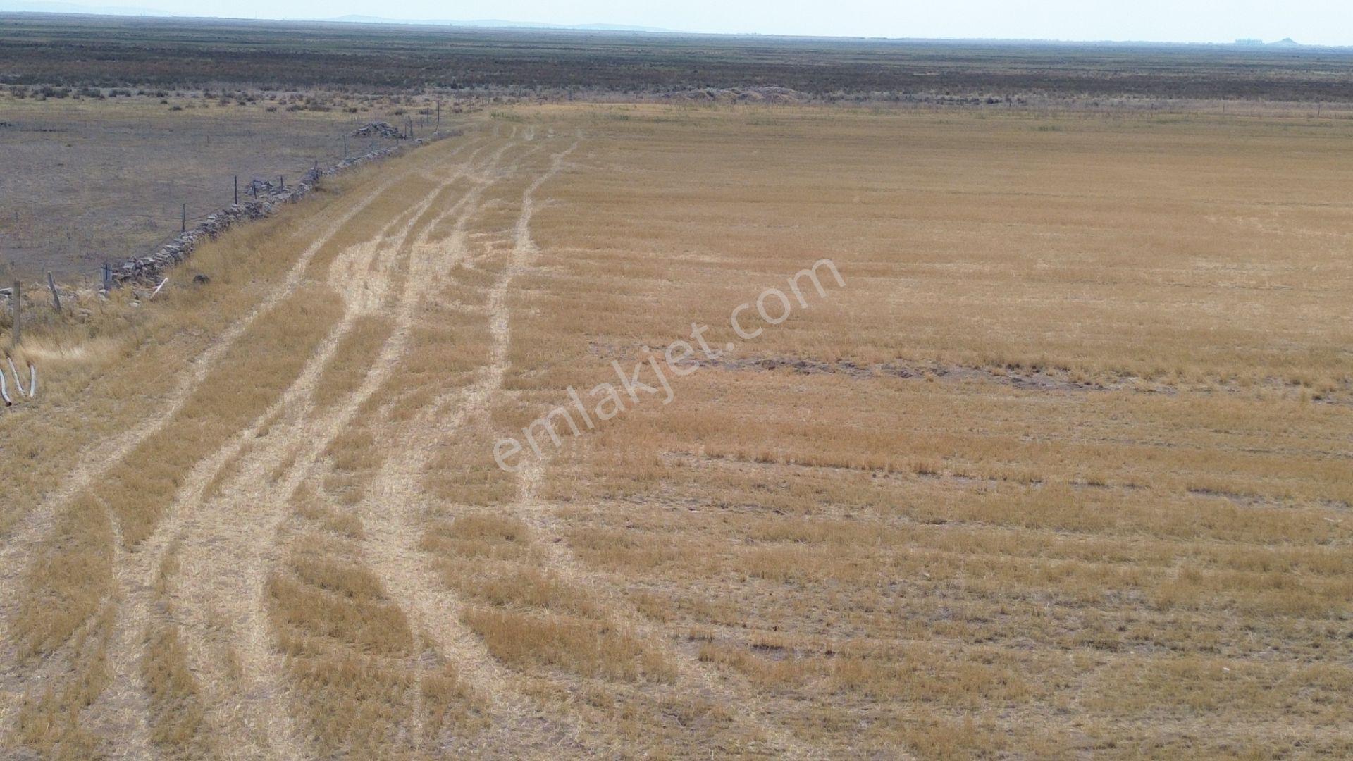 Cihanbeyli Gölyazı'da Satılık 1191 M² Konut İmarlı Arsa — fotoğraf 19