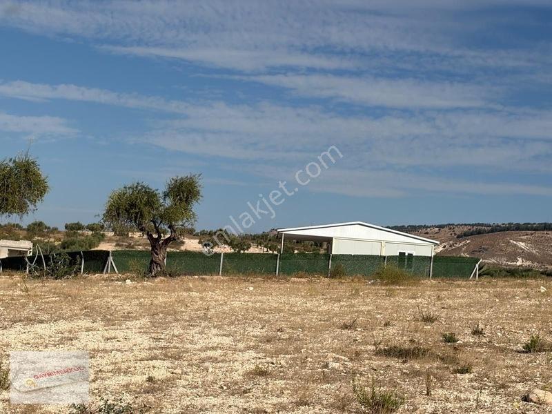 Üniversite Emlaktan 785 M2 Satılık Arsa!!!! — fotoğraf 2