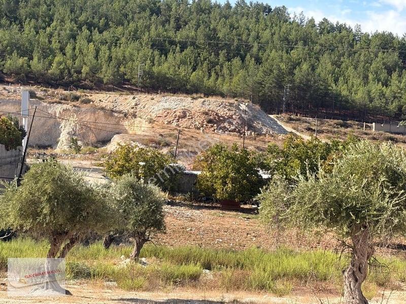 Üniversite Emlaktan 785 M2 Satılık Arsa!!!! — fotoğraf 3
