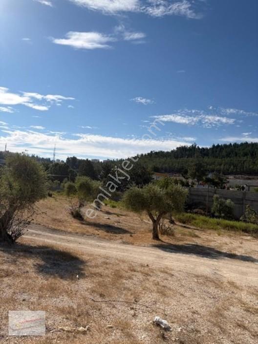 Üniversite Emlaktan 785 M2 Satılık Arsa!!!! — fotoğraf 5