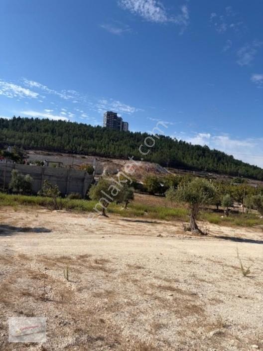 Üniversite Emlaktan 785 M2 Satılık Arsa!!!! — fotoğraf 6