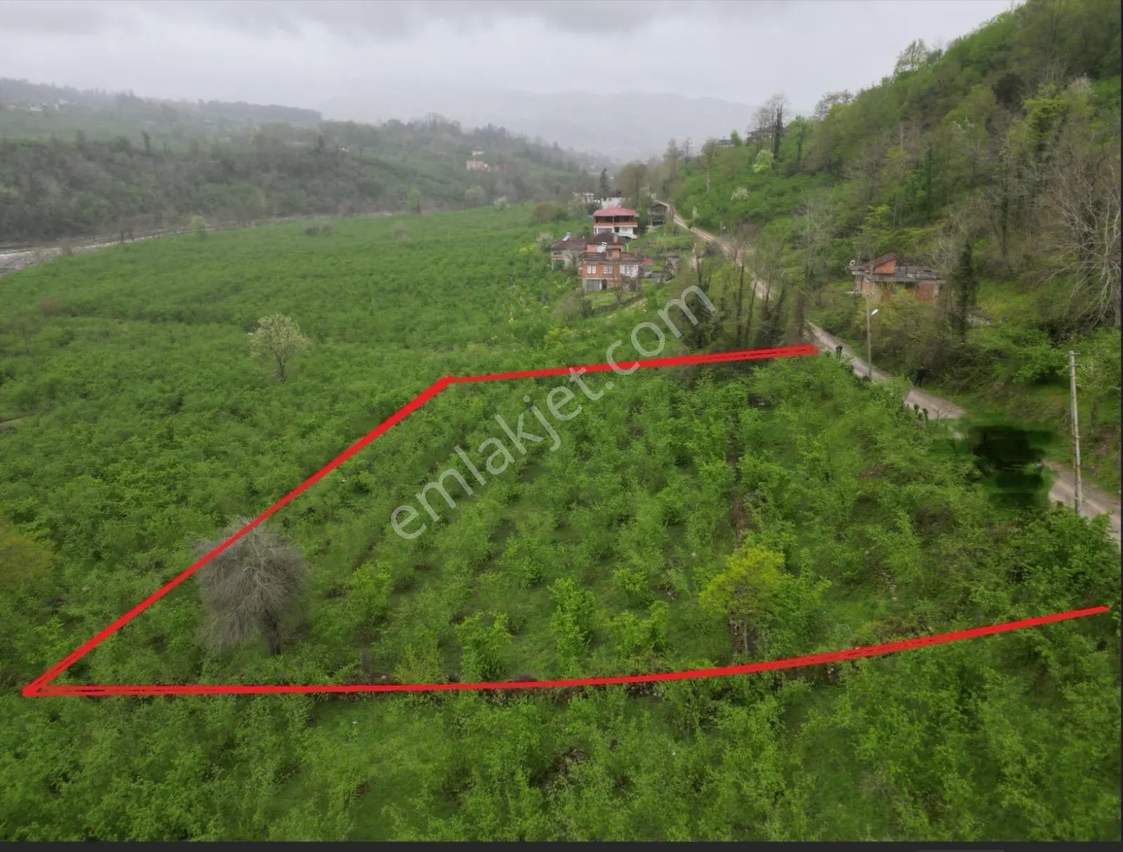 Fatsa Demirci Köyü’nde Yola Cephe, İmara Açık 3.120 M² Fındık Bahçesi — fotoğraf 5