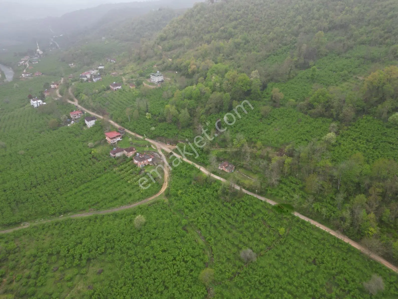 Fatsa Demirci Köyü’nde Yola Cephe, İmara Açık 3.120 M² Fındık Bahçesi — fotoğraf 10