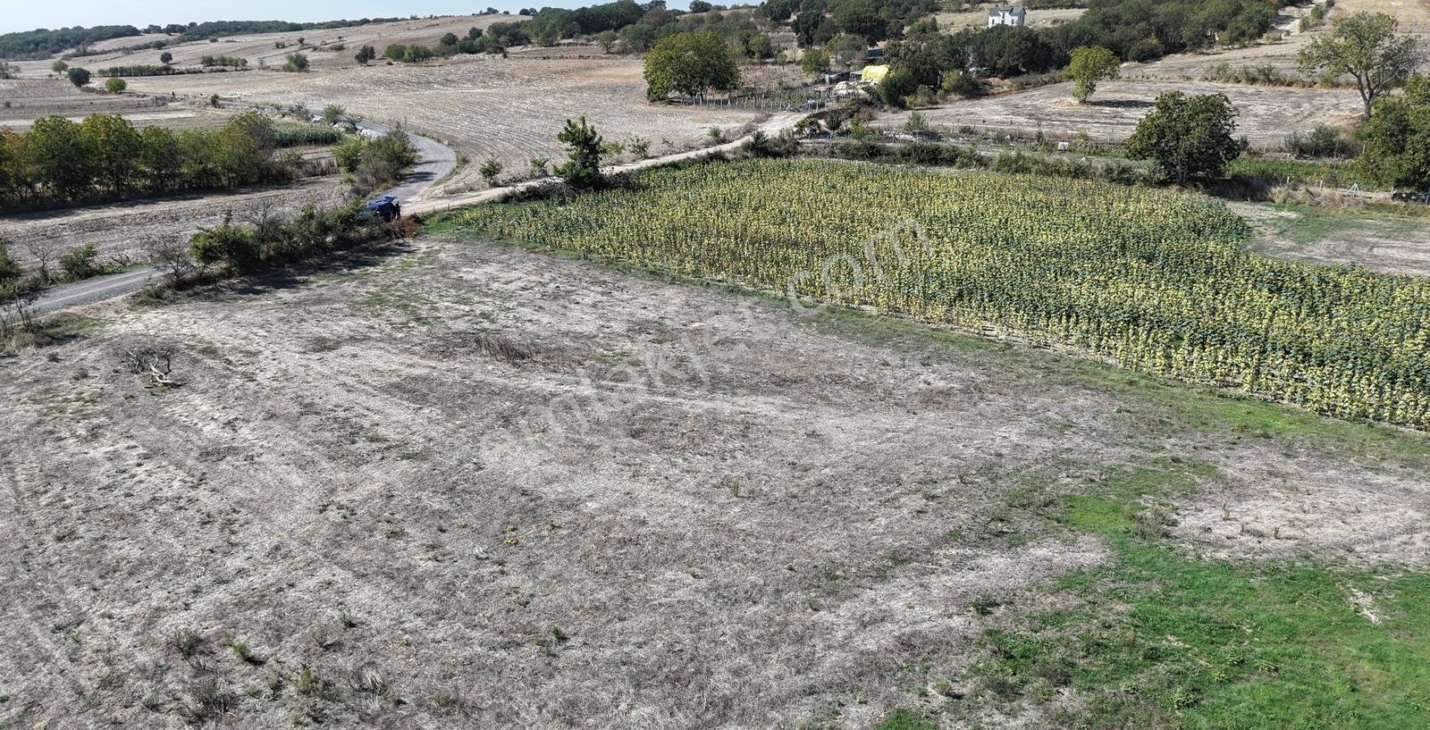 Lüleburgaz Hamzabey'de Satılık 1700 M2 İmarlı Arsa — fotoğraf 14