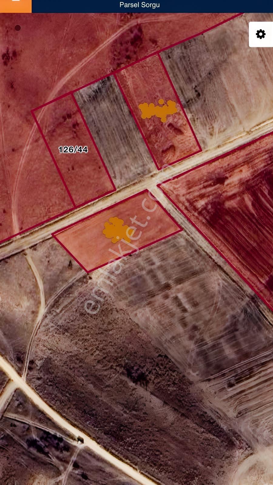 Edirne Havsa Köseömerde 2.284 M2 Yatırımlık Tarla