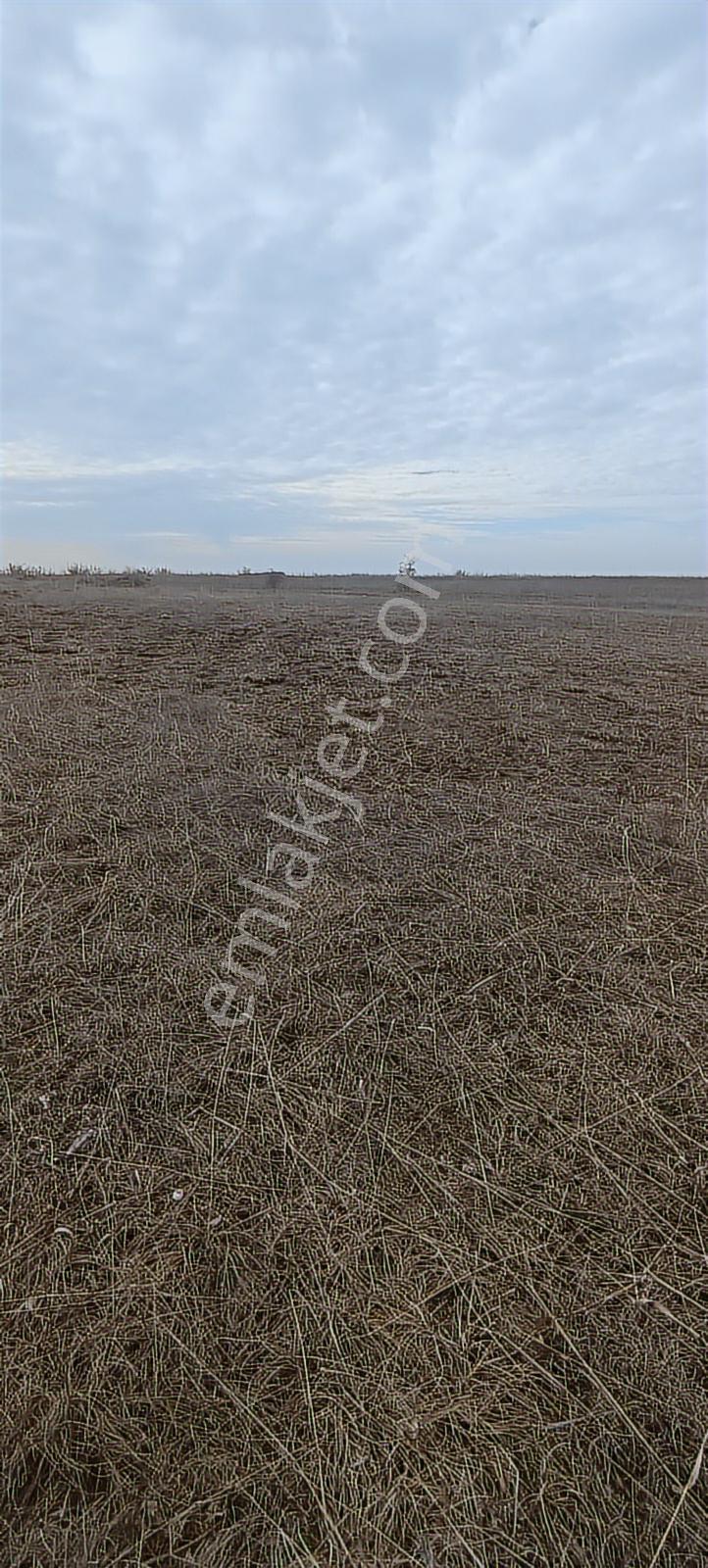 Edirne Havsa Köseömerde 2.284 M2 Yatırımlık Tarla — fotoğraf 3