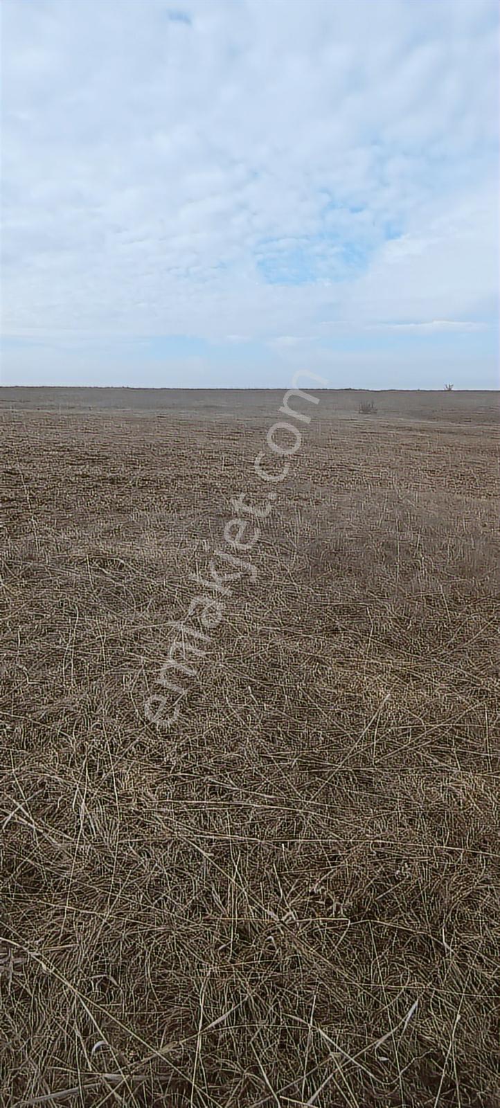 Edirne Havsa Köseömerde 2.284 M2 Yatırımlık Tarla — fotoğraf 4