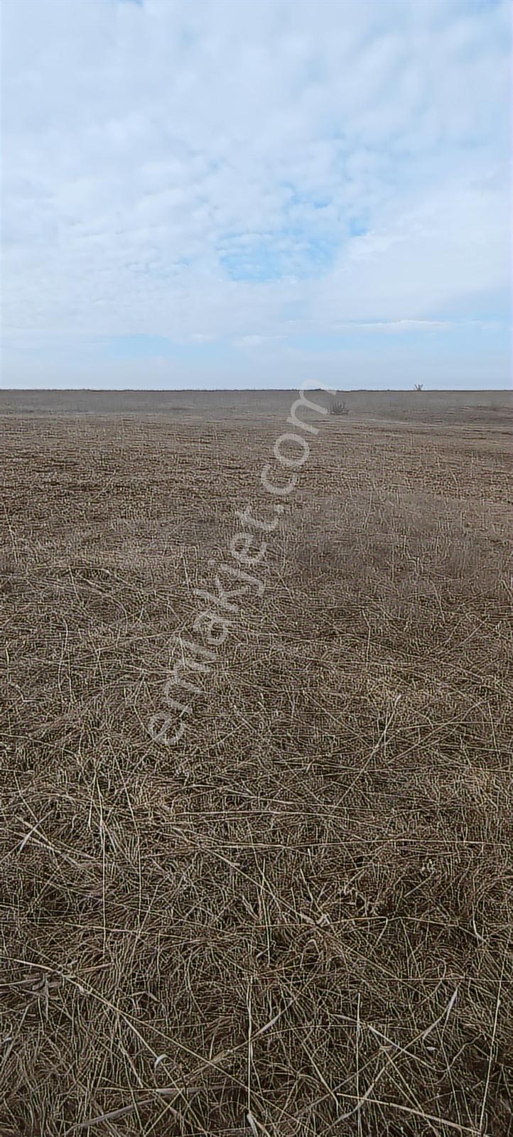Edirne Havsa Köseömerde 2.284 M2 Yatırımlık Tarla — fotoğraf 5