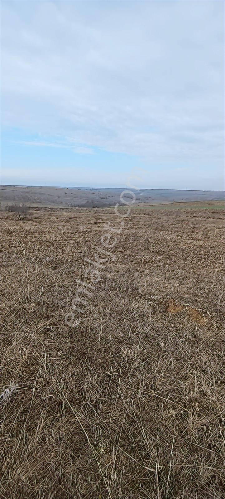 Edirne Havsa Köseömerde 2.284 M2 Yatırımlık Tarla — fotoğraf 6