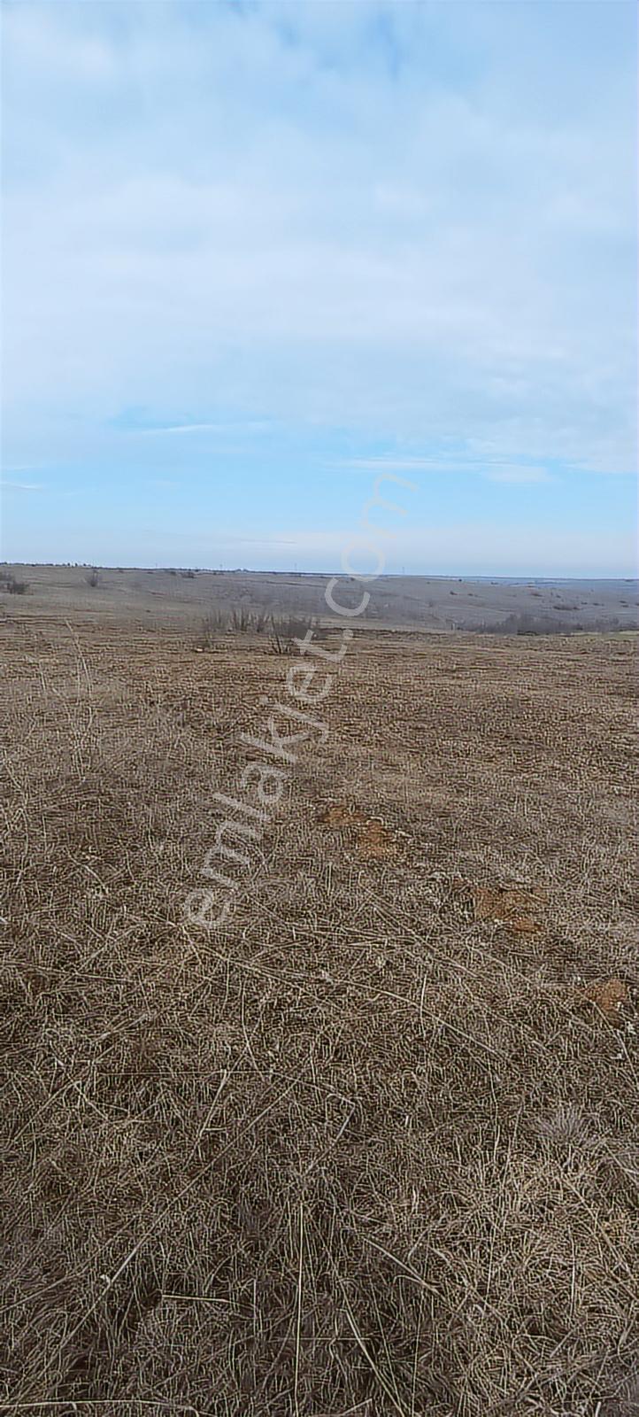 Edirne Havsa Köseömerde 2.284 M2 Yatırımlık Tarla — fotoğraf 7