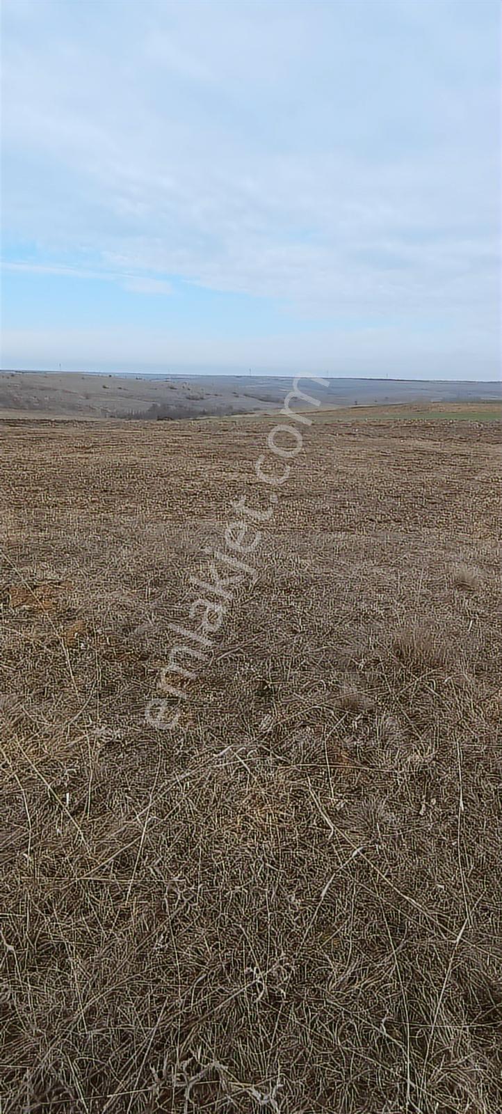 Edirne Havsa Köseömerde 2.284 M2 Yatırımlık Tarla — fotoğraf 8