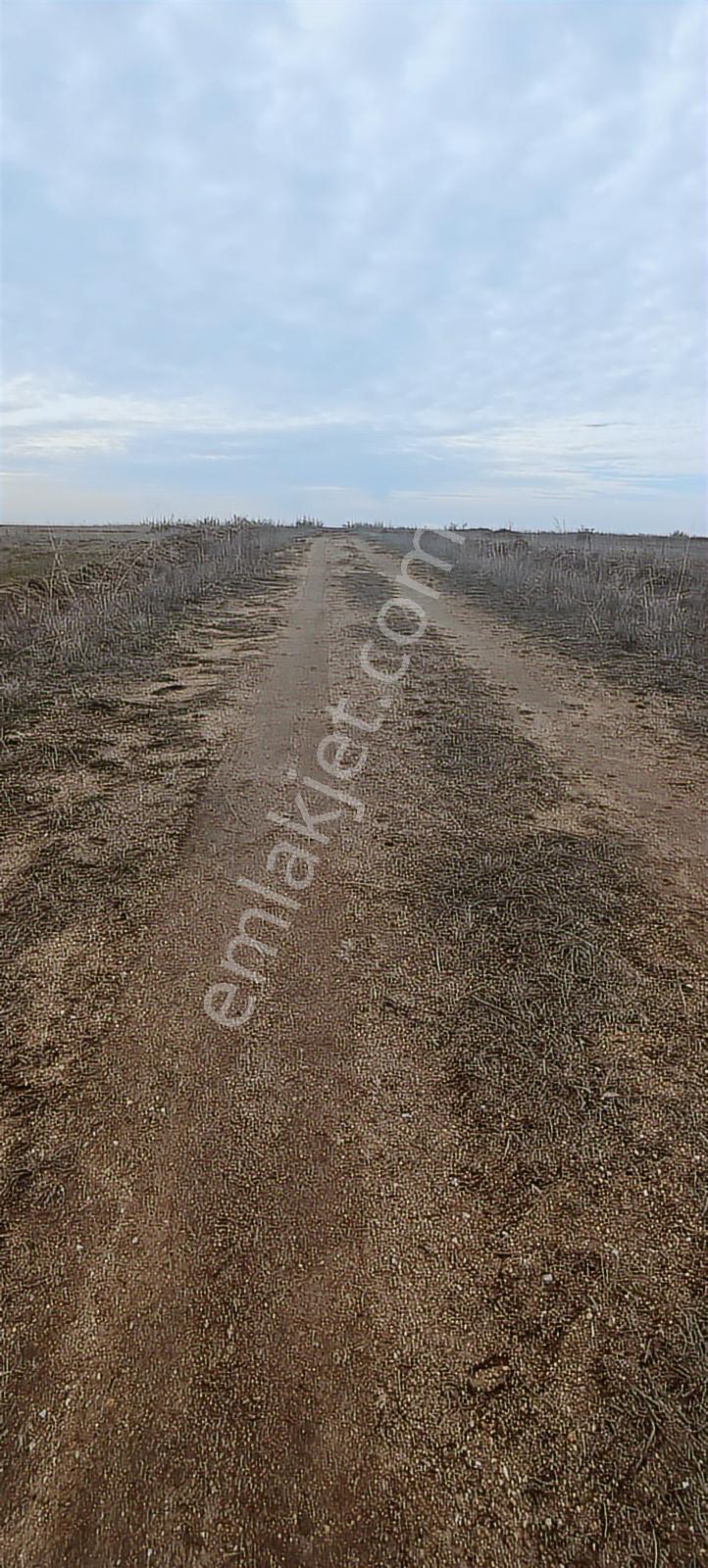 Edirne Havsa Köseömerde 2.284 M2 Yatırımlık Tarla — fotoğraf 10