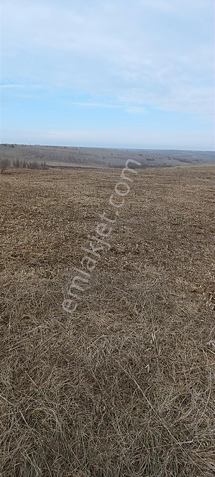 Edirne Havsa Köseömerde 2.284 M2 Yatırımlık Tarla — fotoğraf 11