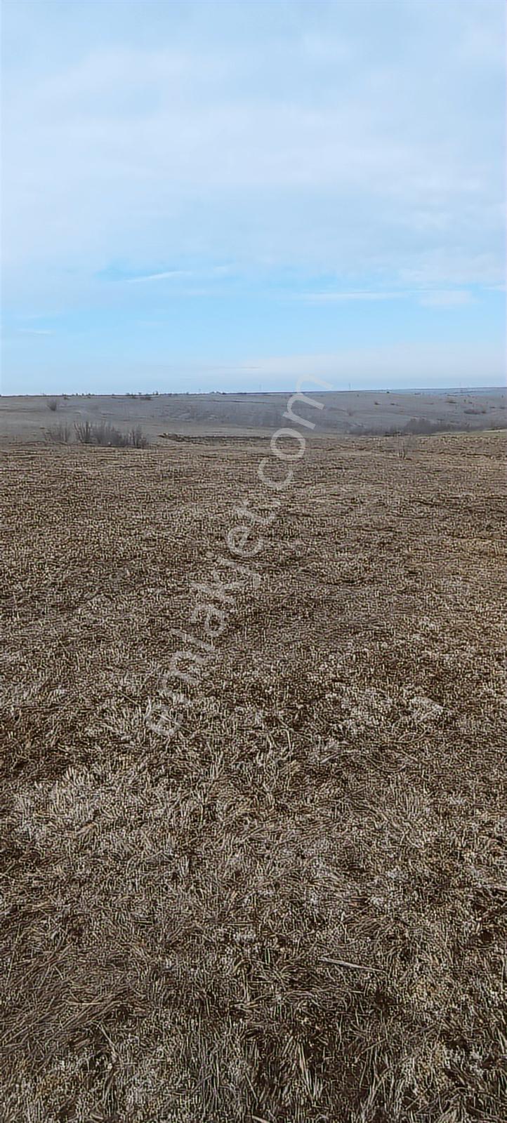 Edirne Havsa Köseömerde 2.284 M2 Yatırımlık Tarla — fotoğraf 12