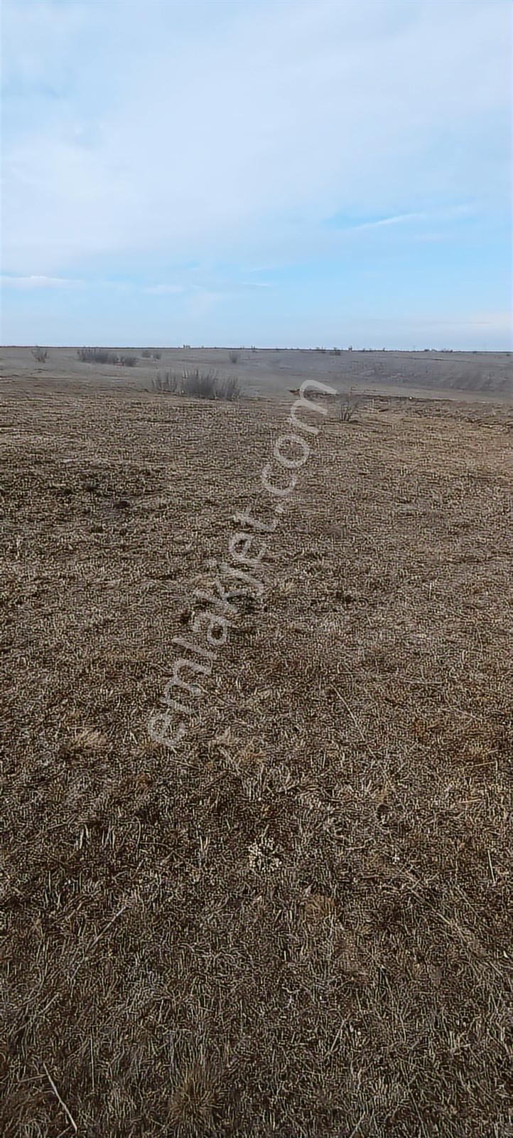 Edirne Havsa Köseömerde 2.284 M2 Yatırımlık Tarla — fotoğraf 13