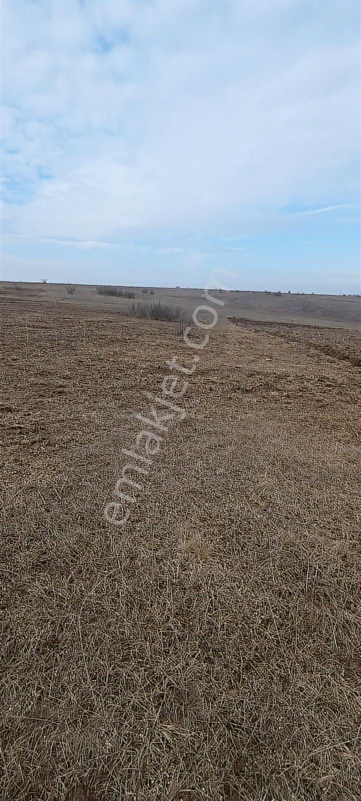 Edirne Havsa Köseömerde 2.284 M2 Yatırımlık Tarla — fotoğraf 14