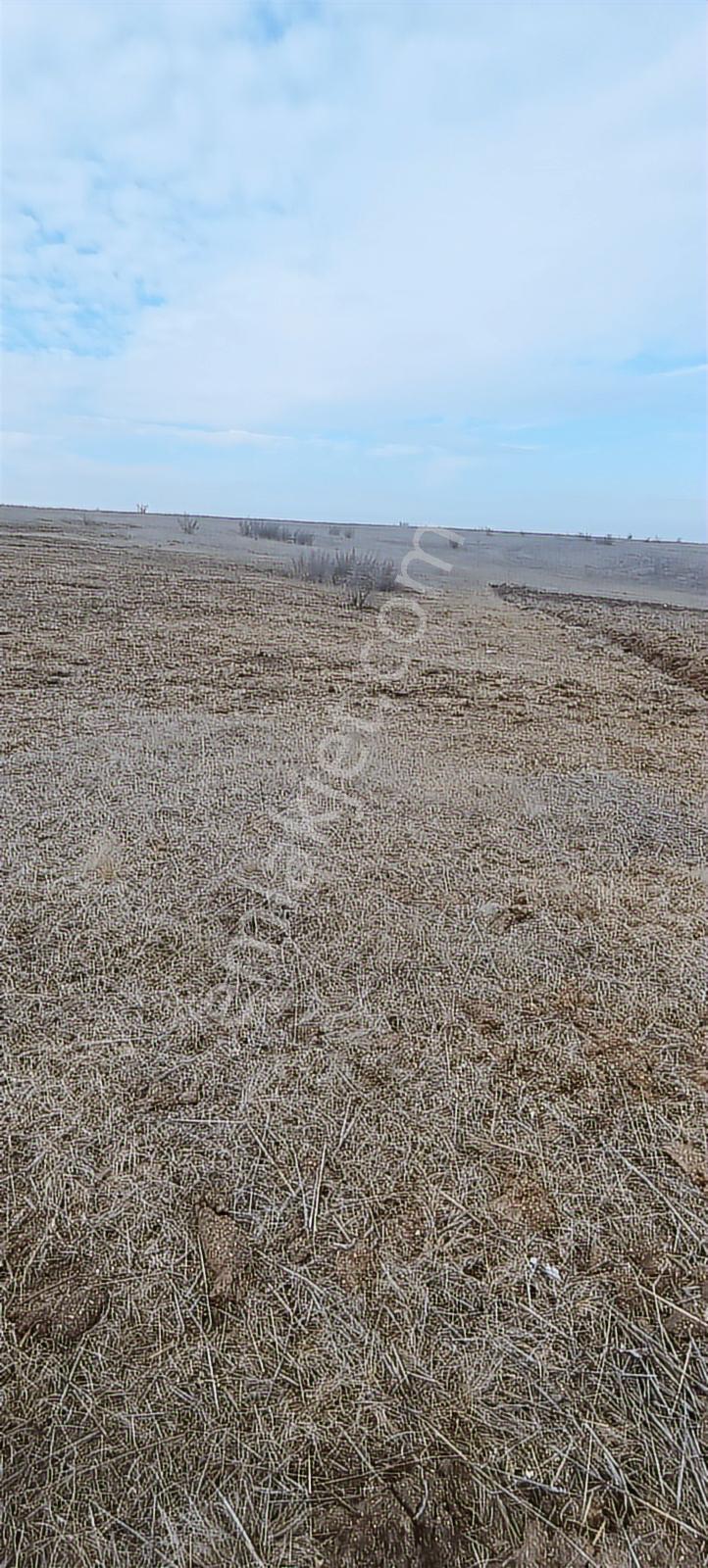 Edirne Havsa Köseömerde 2.284 M2 Yatırımlık Tarla — fotoğraf 15