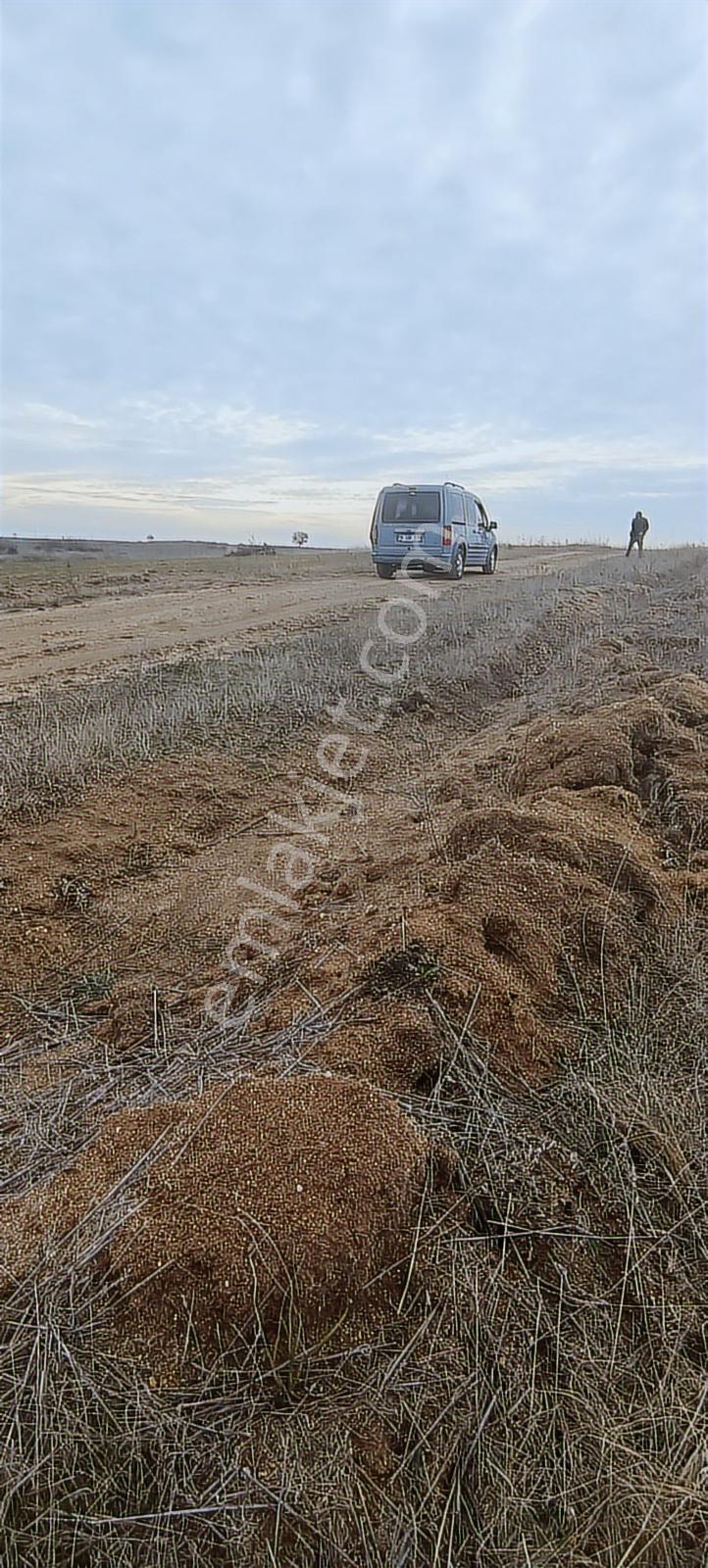 Edirne Havsa Köseömerde 2.284 M2 Yatırımlık Tarla — fotoğraf 16
