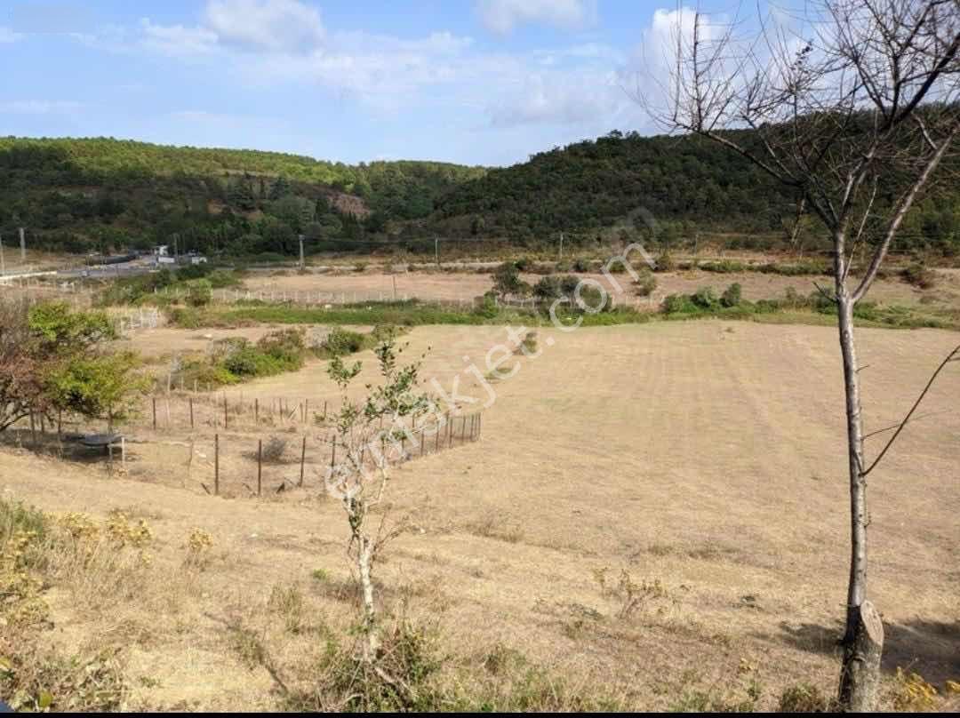Deniz Kıyısında Beykoz Anadolu Feneri Yatırımlık Arsa — fotoğraf 2