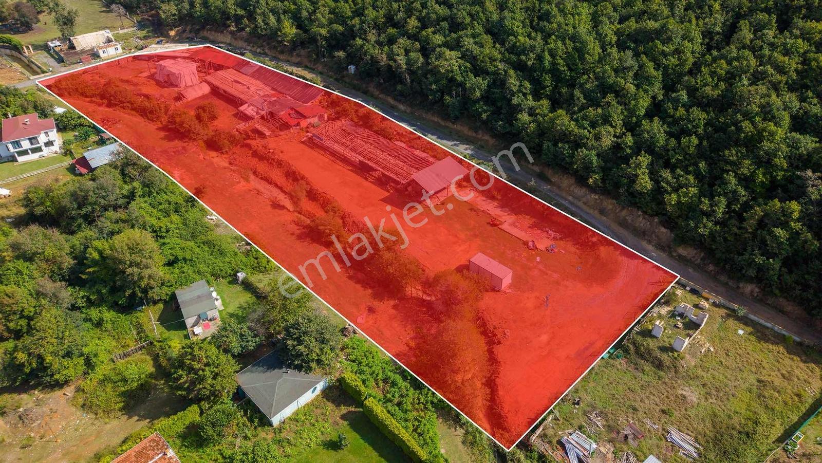 Şile Sahilköy De 5.451 M2 Tek Tapulu Satılık Arazi — fotoğraf 7