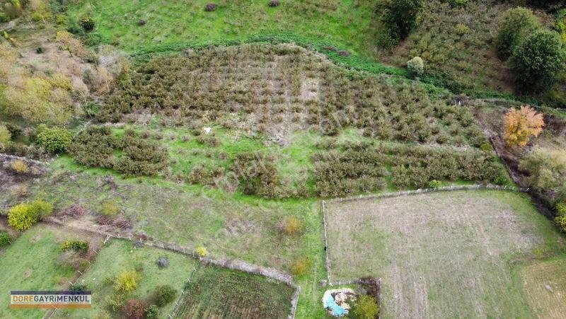 Meşelide 15800 M2 Yatırımlık Fırsat Yer — fotoğraf 7