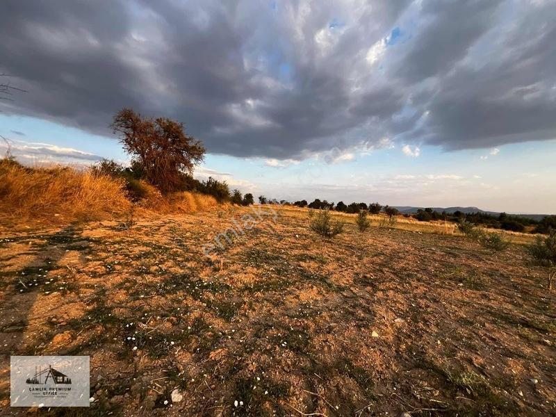 Denizli Kale'de Bahçe & Tütün Tarlası — fotoğraf 5