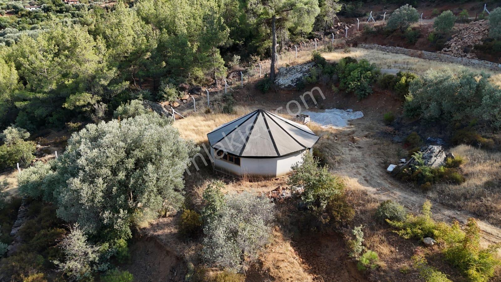 Aydın Karacasu Büyükdağlıda 2 Parsel 36,62 Dönüm Su & Elektrikli — fotoğraf 2
