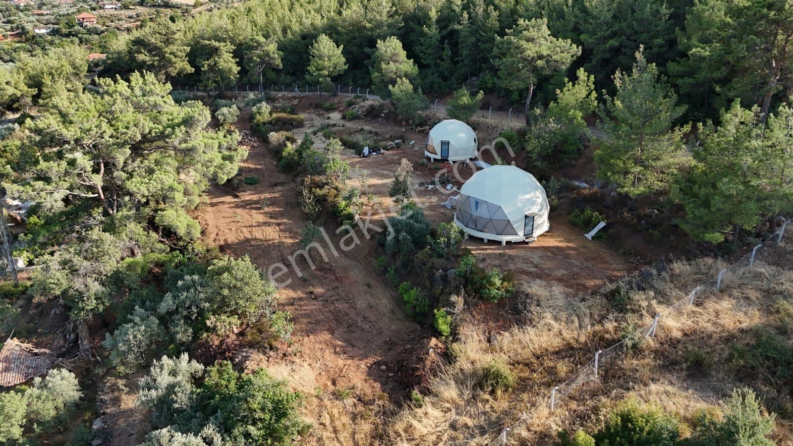 Aydın Karacasu Büyükdağlıda 2 Parsel 36,62 Dönüm Su & Elektrikli — fotoğraf 14