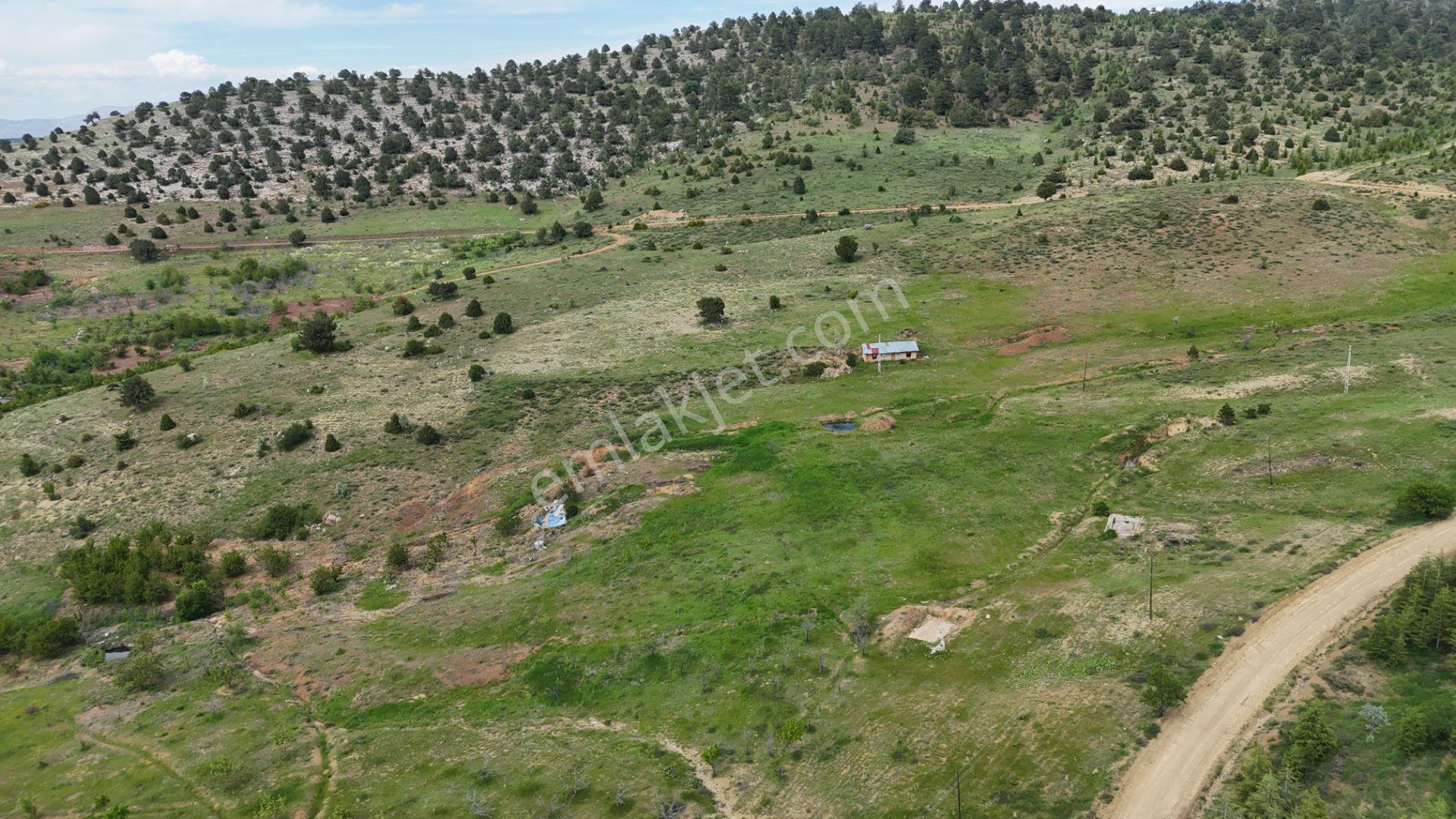 Hadim Yenikonak Mahallesi'nde Satılık 688 M² Bağ Ve Bahçe — fotoğraf 13
