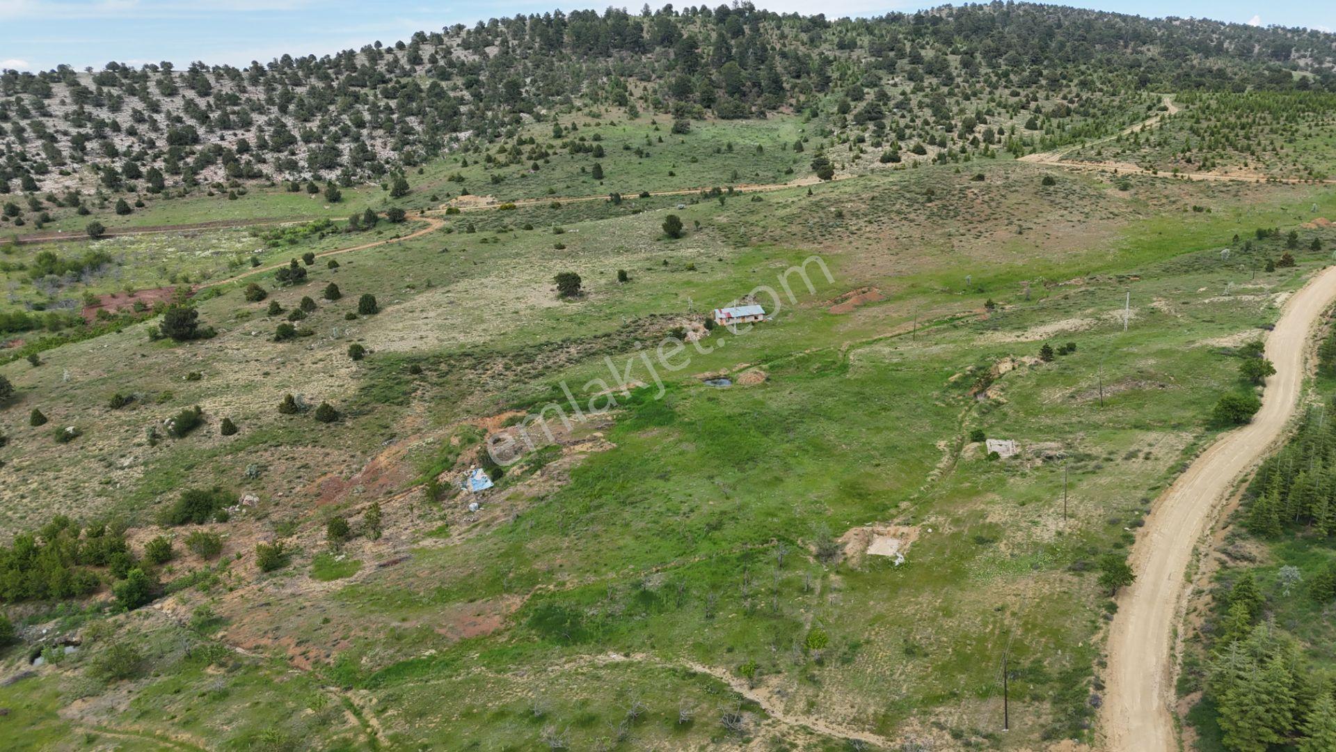 Hadim Yenikonak Mahallesi'nde Satılık 688 M² Bağ Ve Bahçe — fotoğraf 14
