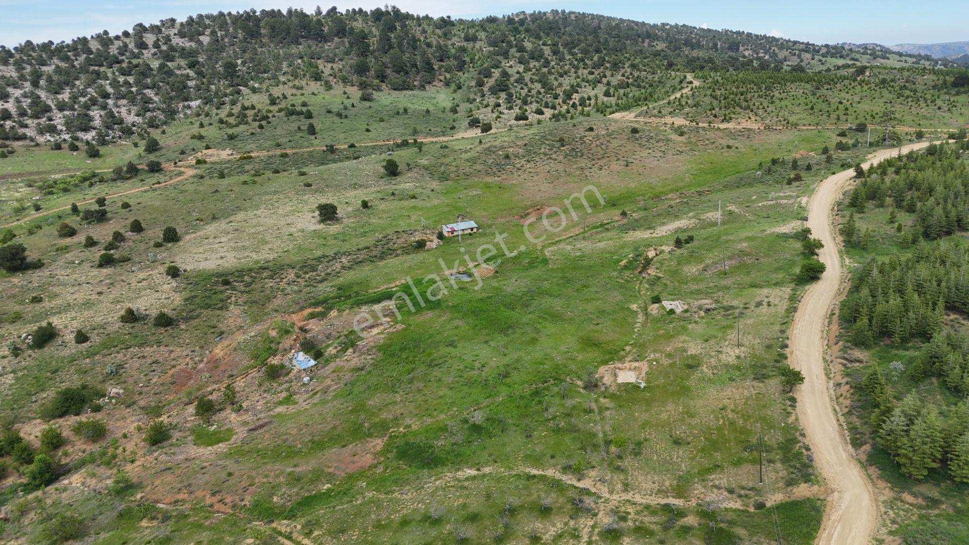 Hadim Yenikonak Mahallesi'nde Satılık 688 M² Bağ Ve Bahçe — fotoğraf 15