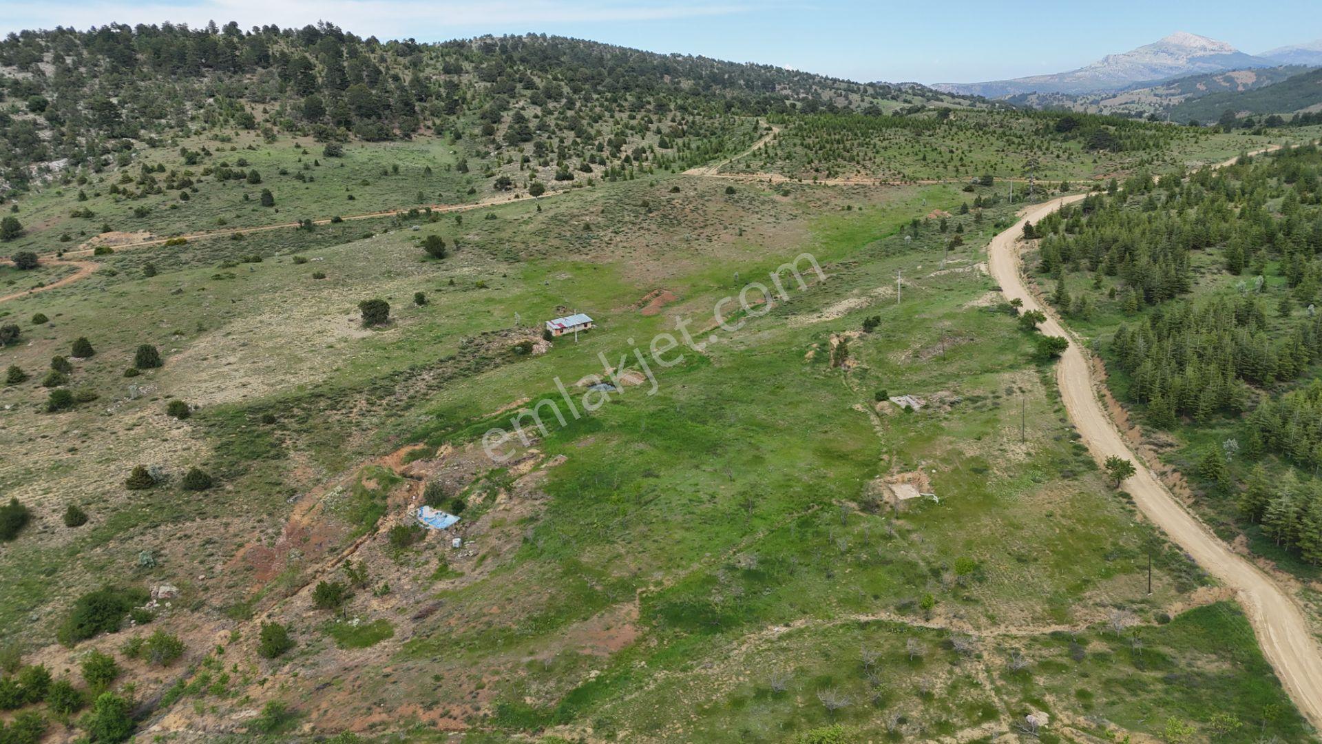 Hadim Yenikonak Mahallesi'nde Satılık 688 M² Bağ Ve Bahçe — fotoğraf 16