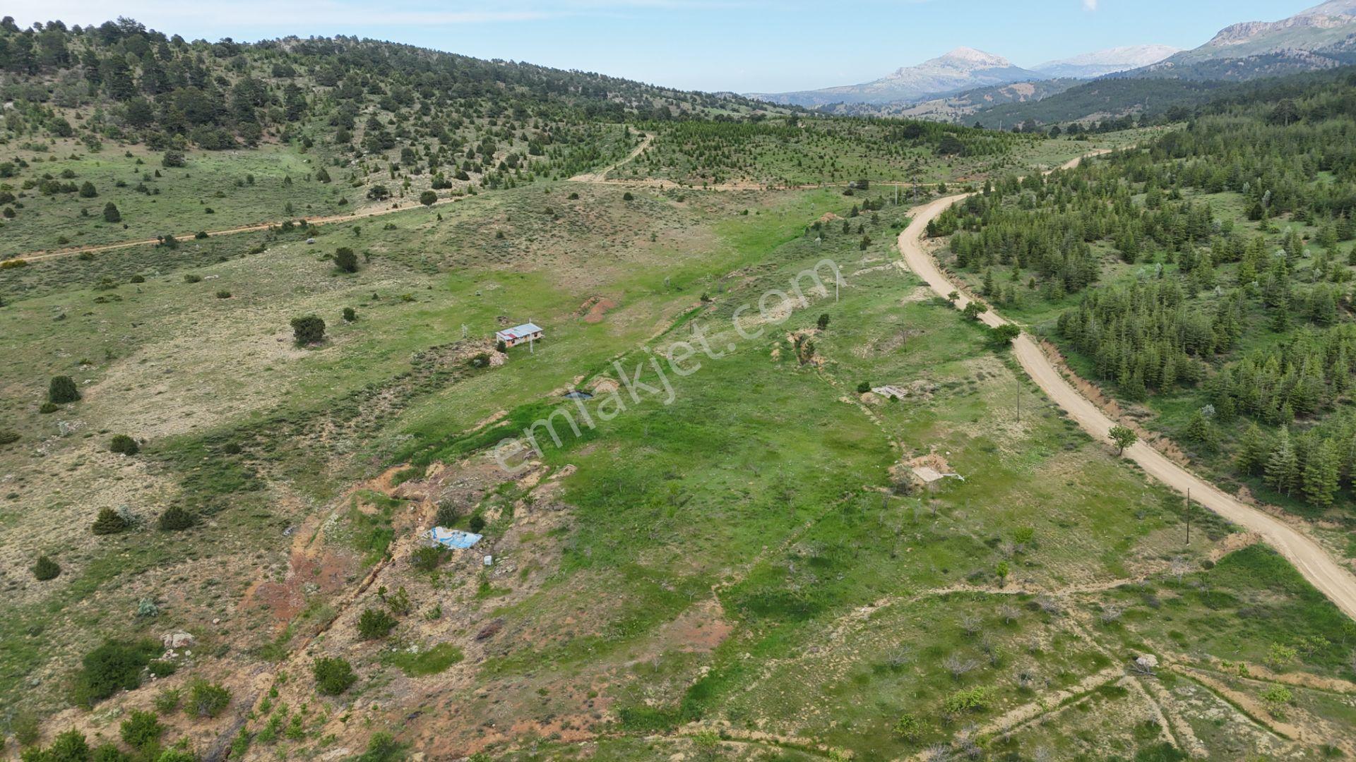 Hadim Yenikonak Mahallesi'nde Satılık 688 M² Bağ Ve Bahçe — fotoğraf 17