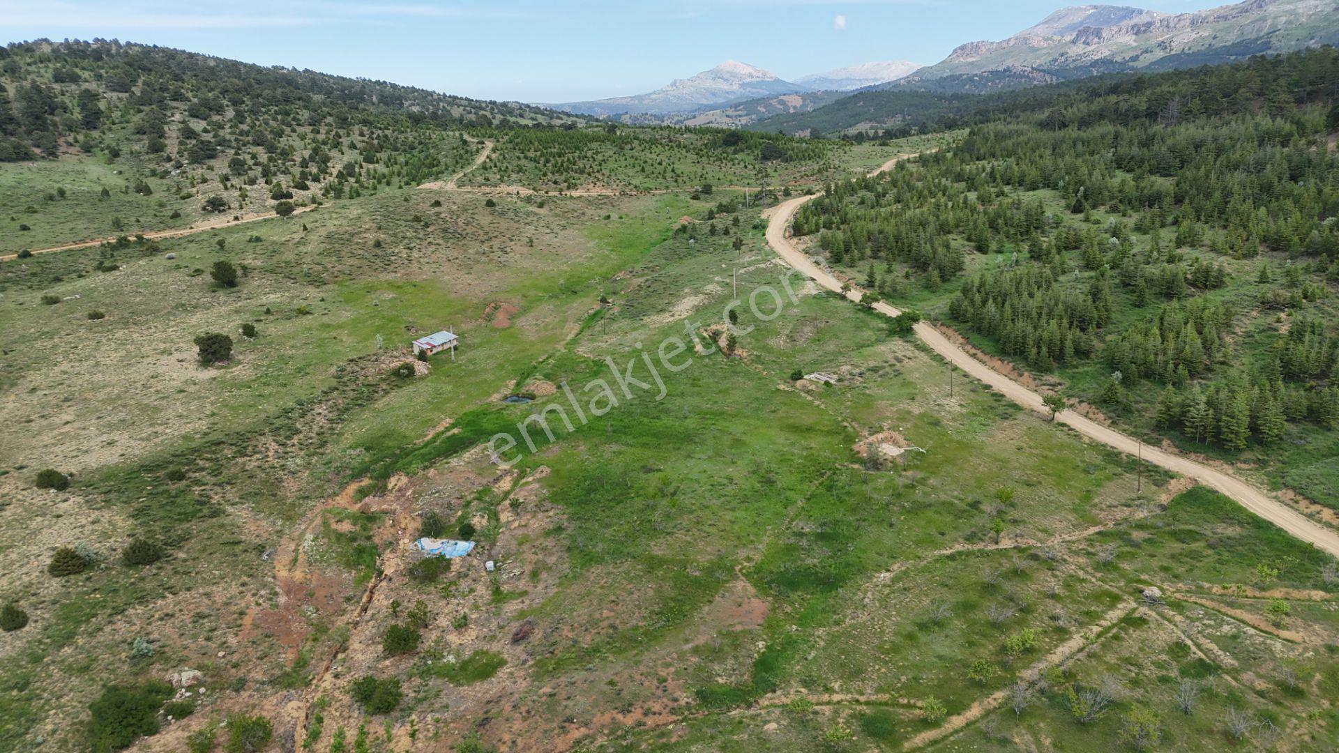 Hadim Yenikonak Mahallesi'nde Satılık 688 M² Bağ Ve Bahçe — fotoğraf 18