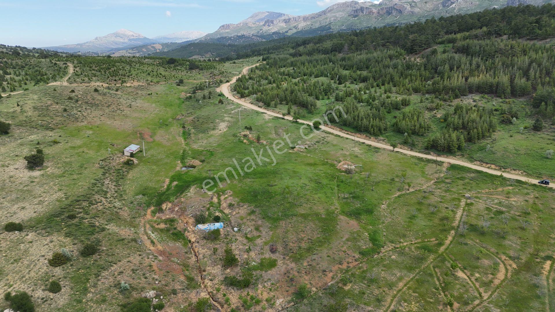 Hadim Yenikonak Mahallesi'nde Satılık 688 M² Bağ Ve Bahçe — fotoğraf 19