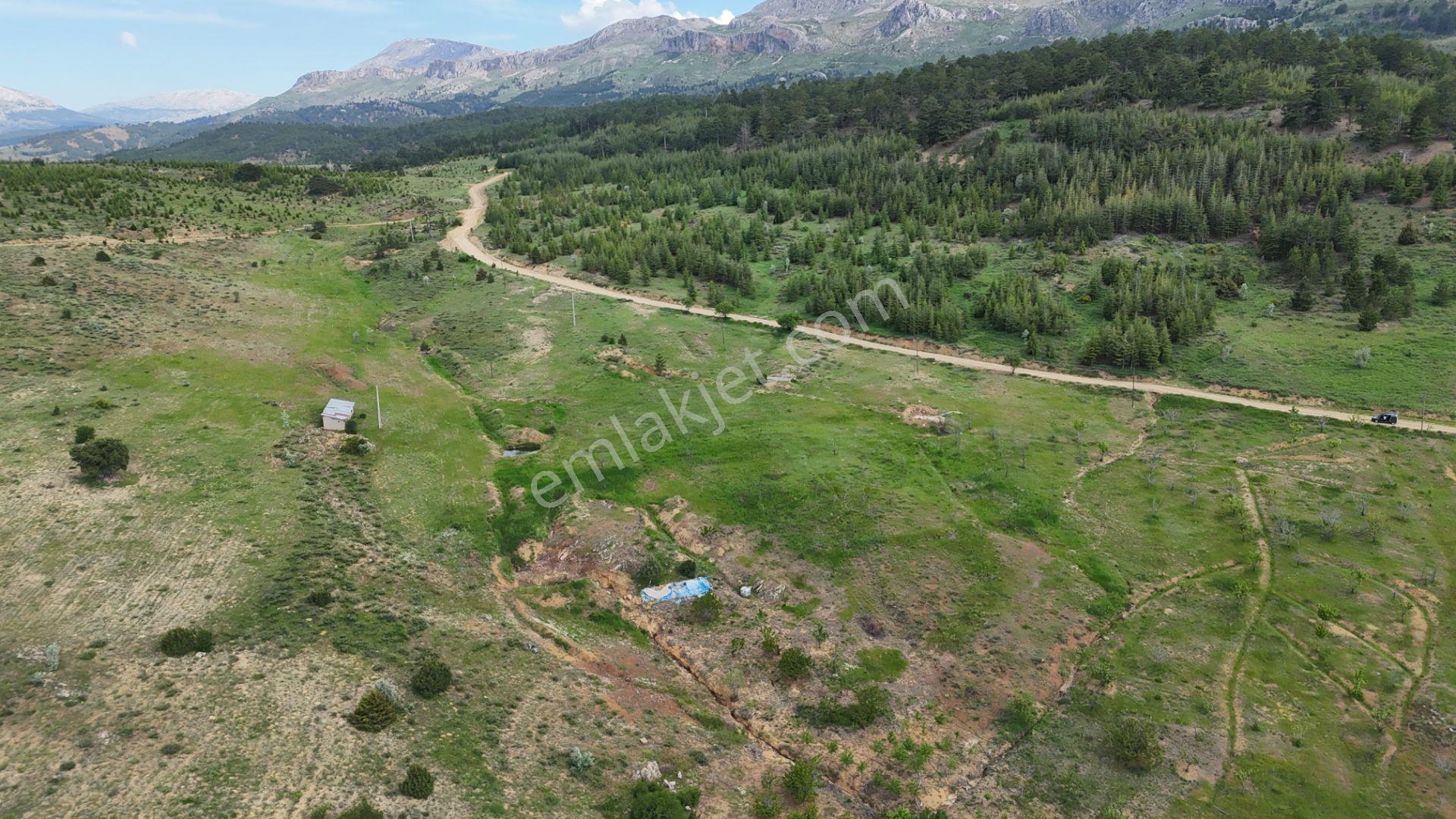 Hadim Yenikonak Mahallesi'nde Satılık 688 M² Bağ Ve Bahçe — fotoğraf 20