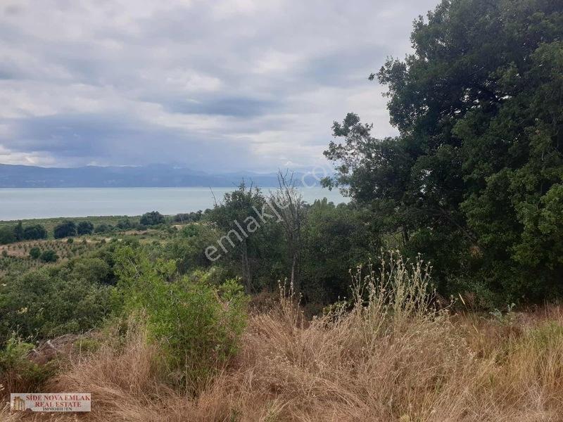 Isparta'da Eğirdir Gölüne Yakın Tarla — fotoğraf 4
