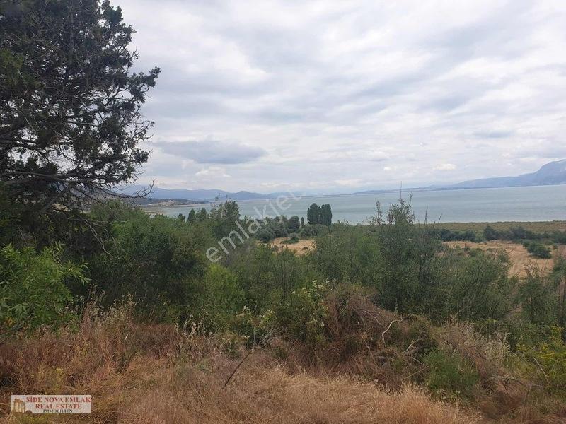 Isparta'da Eğirdir Gölüne Yakın Tarla — fotoğraf 5