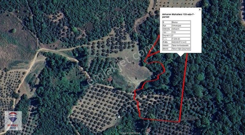 Remaxmavi'den Bursa Orhangazi Akharemde 7.230 M² Satılık Tarla — fotoğraf 2