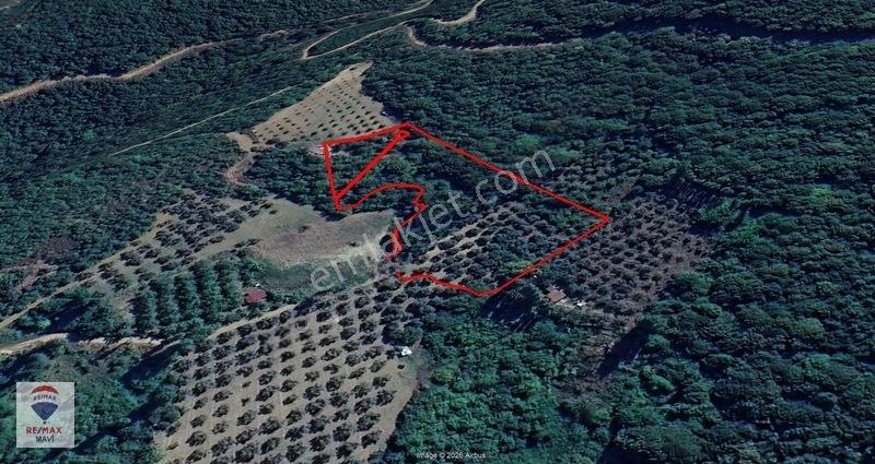 Remaxmavi'den Bursa Orhangazi Akharemde 7.230 M² Satılık Tarla — fotoğraf 5