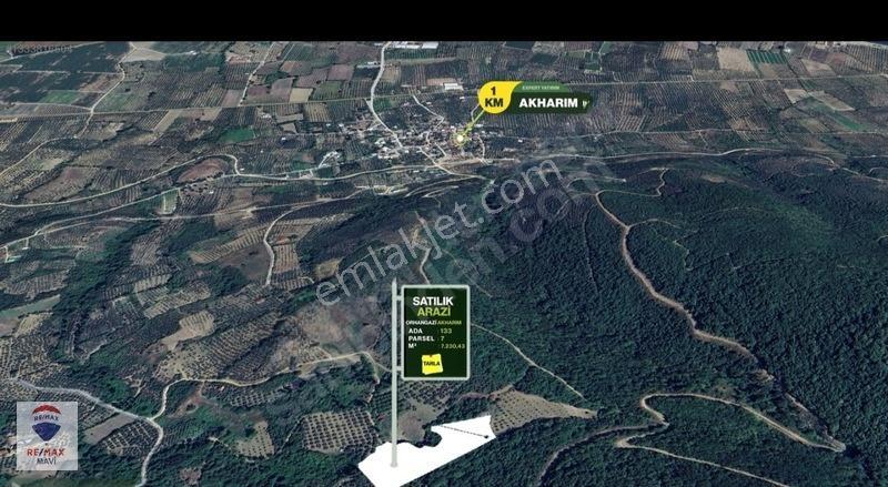 Remaxmavi'den Bursa Orhangazi Akharemde 7.230 M² Satılık Tarla — fotoğraf 6