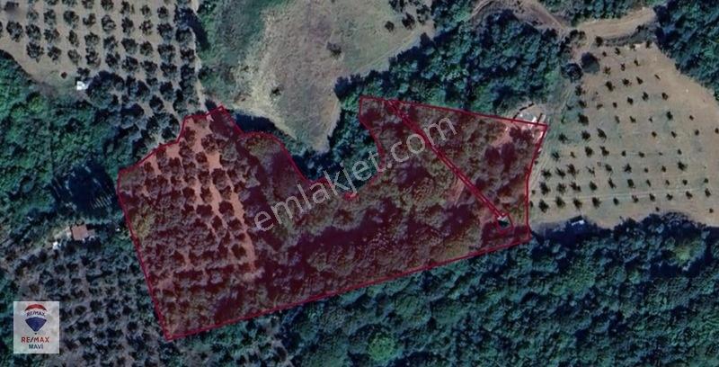 Remaxmavi'den Bursa Orhangazi Akharemde 7.230 M² Satılık Tarla — fotoğraf 8