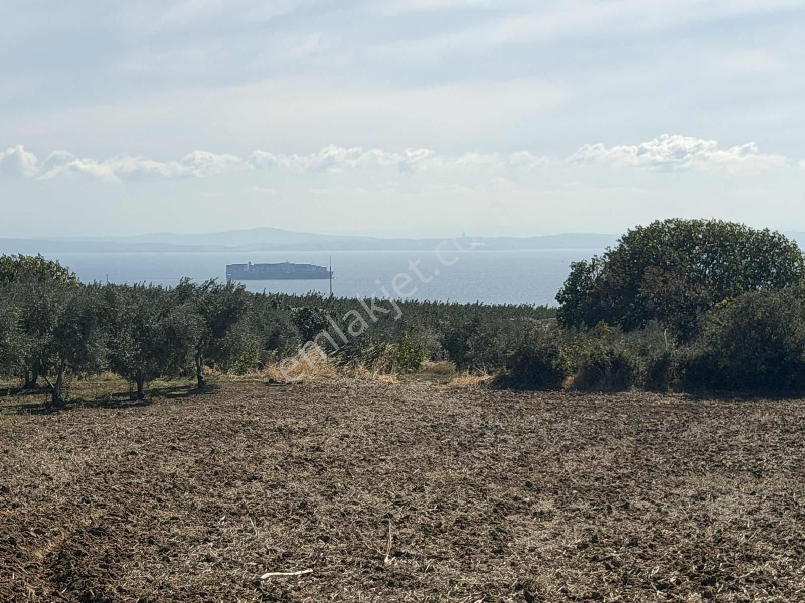Yatırma Uygun Kelepir Fiyata 2 Dönüm Tarım Arazisi Takasa Acık — fotoğraf 6