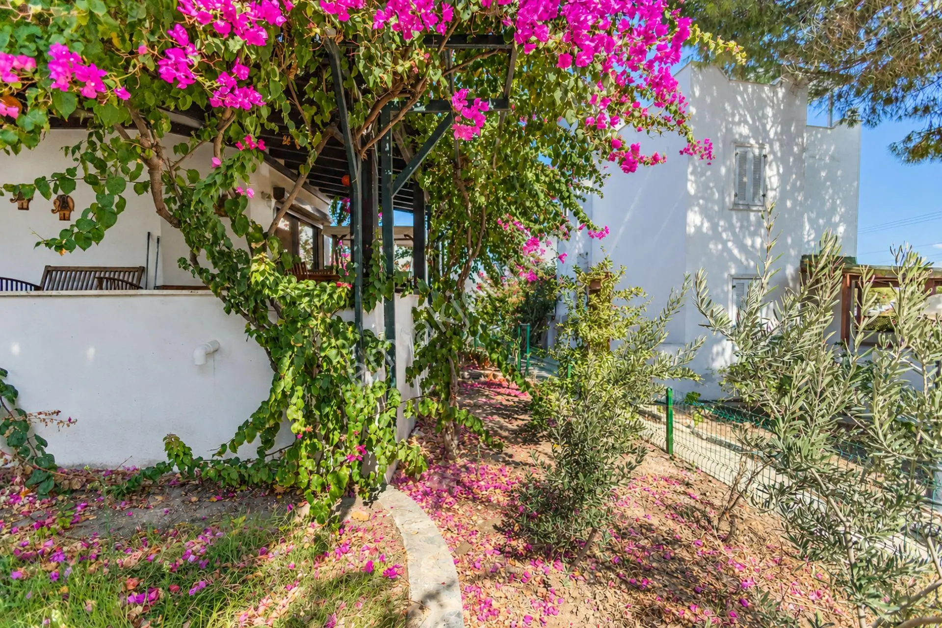 Bodrum Yahşi Beyaz Köşkler Sitesi'nde Denize Düz Ayak Yürüme Mesafesinde Tripleks — fotoğraf 3