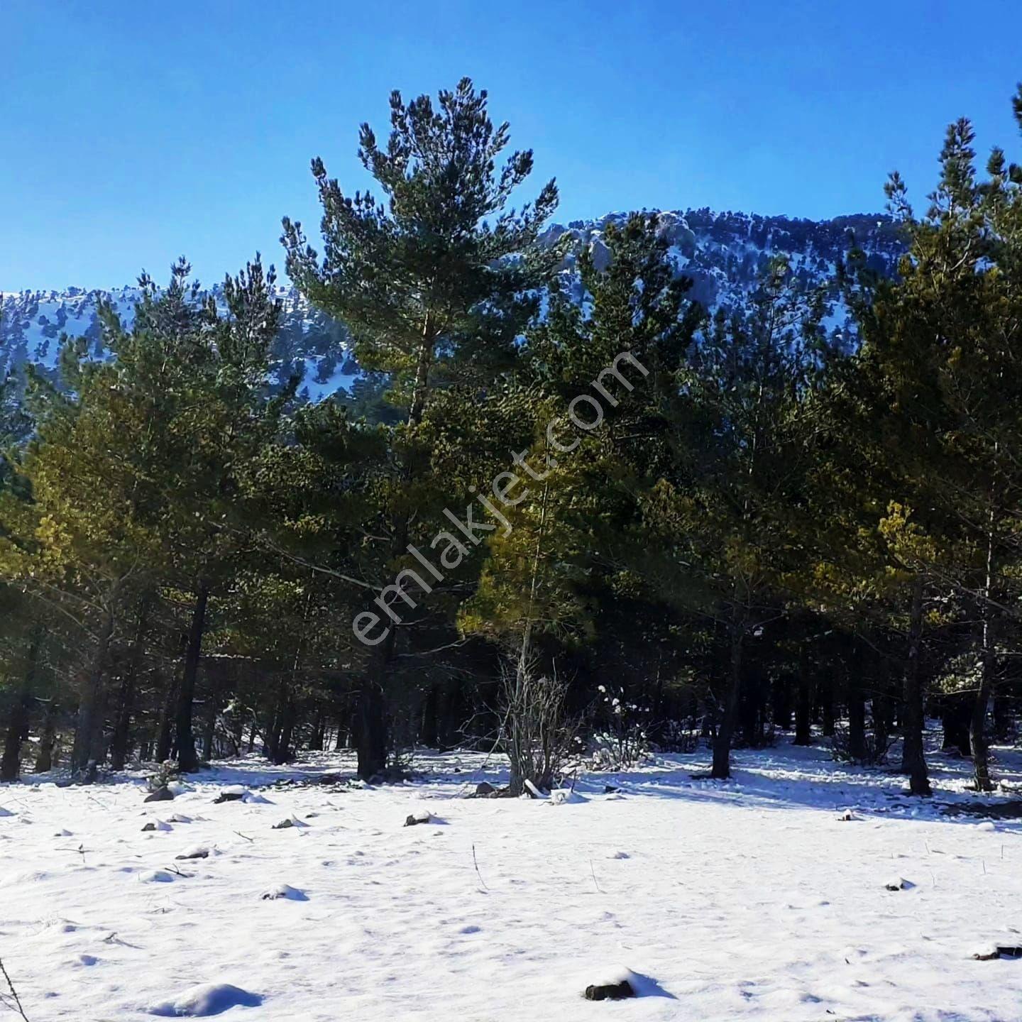 Kar Emlak Tan Yeni Konacık Efes Sitesi Üzeri 400 M2 Satılık Arsa — fotoğraf 2