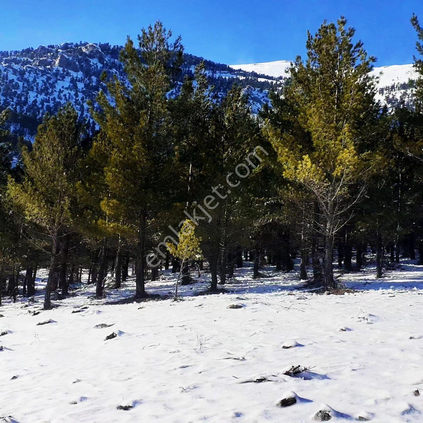 Kar Emlak Tan Yeni Konacık Efes Sitesi Üzeri 400 M2 Satılık Arsa — fotoğraf 11