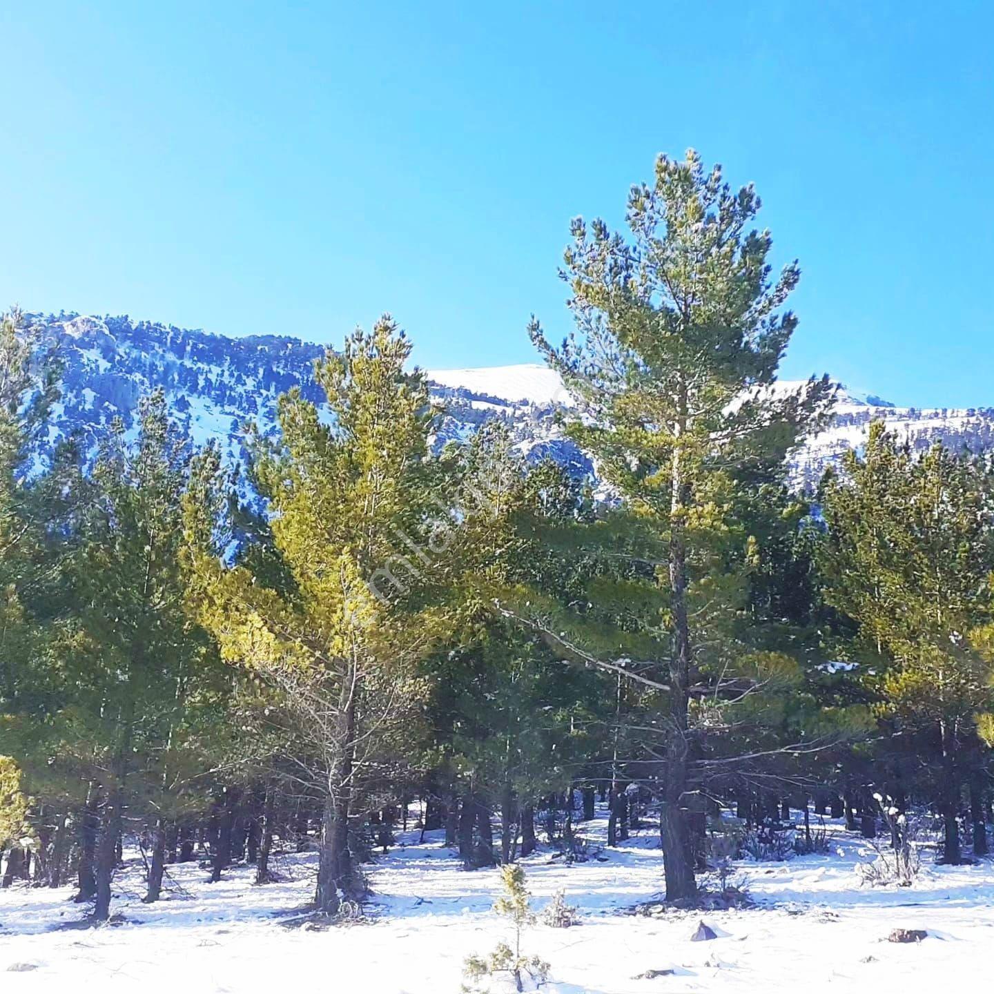 Kar Emlak Tan Yeni Konacık Efes Sitesi Üzeri 400 M2 Satılık Arsa — fotoğraf 17